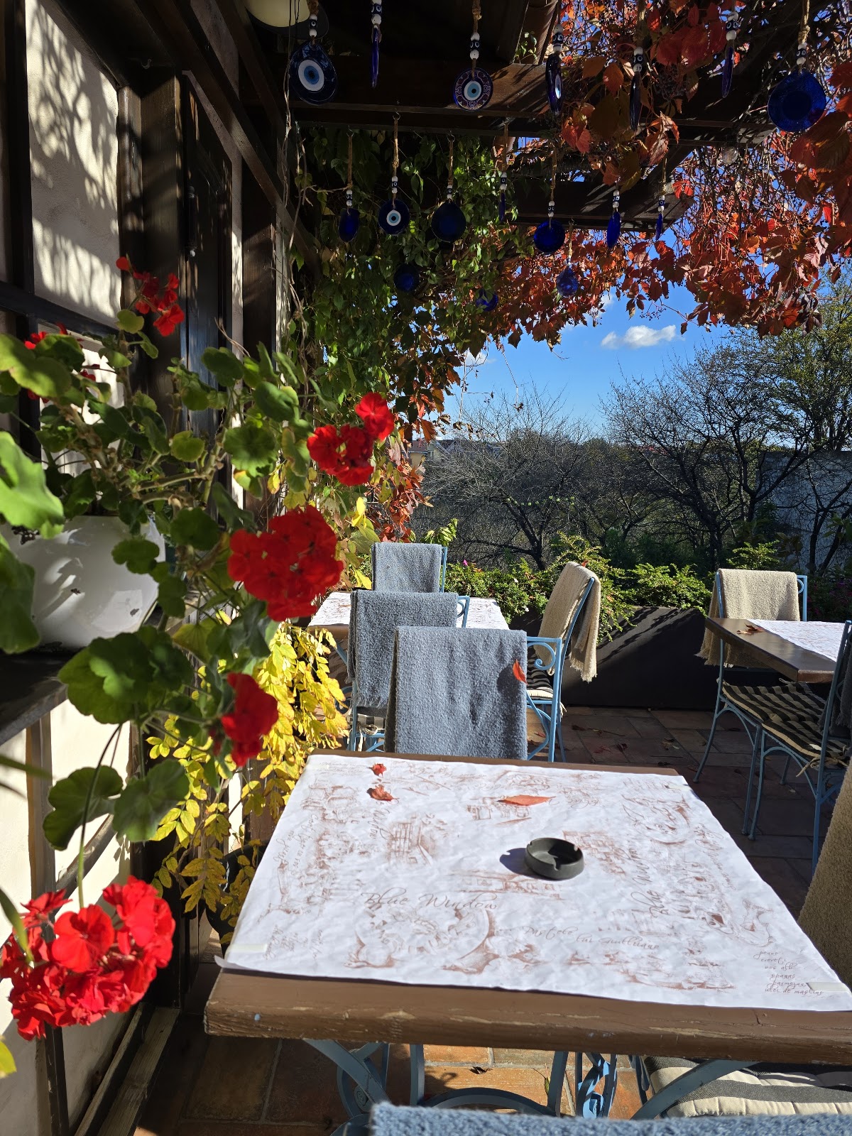 Blue Window - foto 1