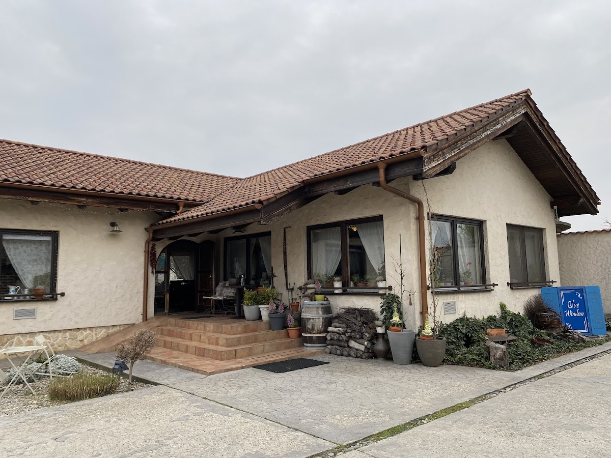 Blue Window - foto 5