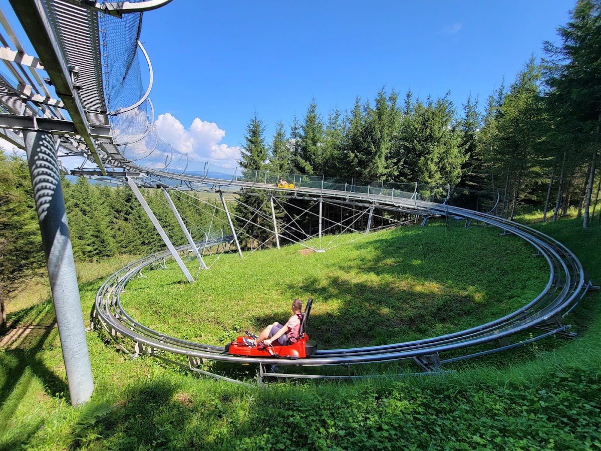 Bob - Alpine Coaster Toplita - foto 1