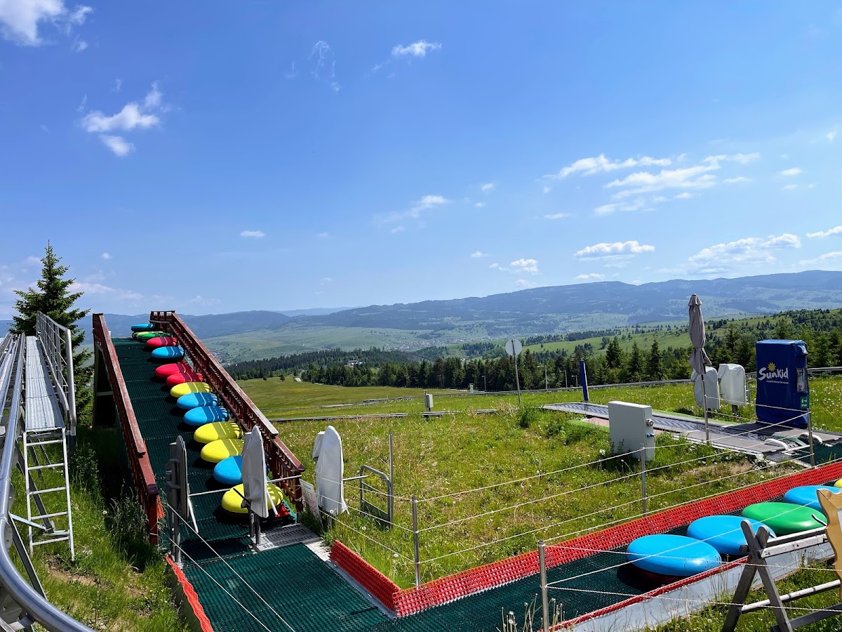 Bob - Alpine Coaster Toplita - foto 4