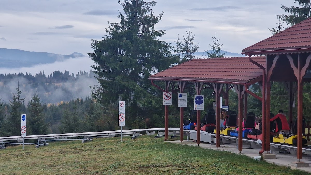 Bob - Alpine Coaster Toplita - foto 5