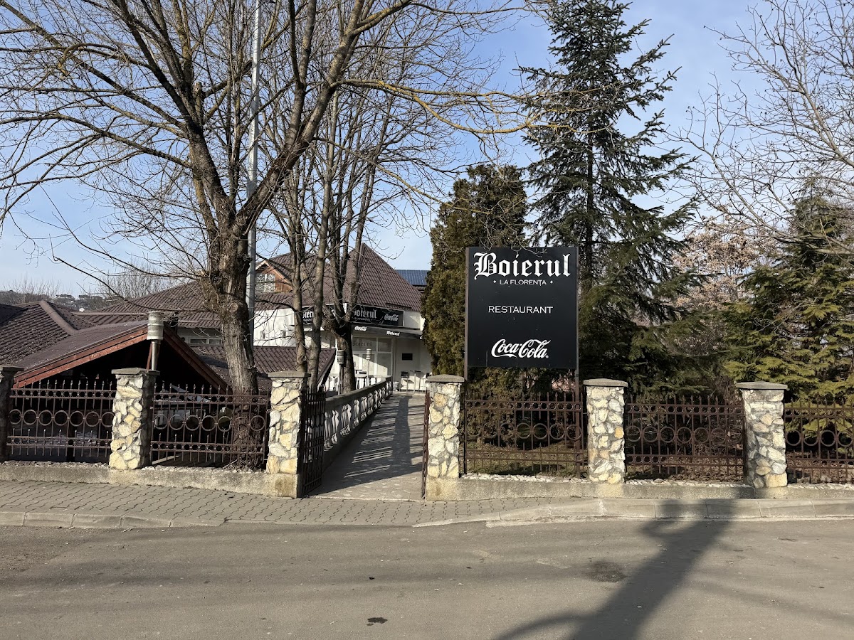 Boierul La Florenta - foto 5