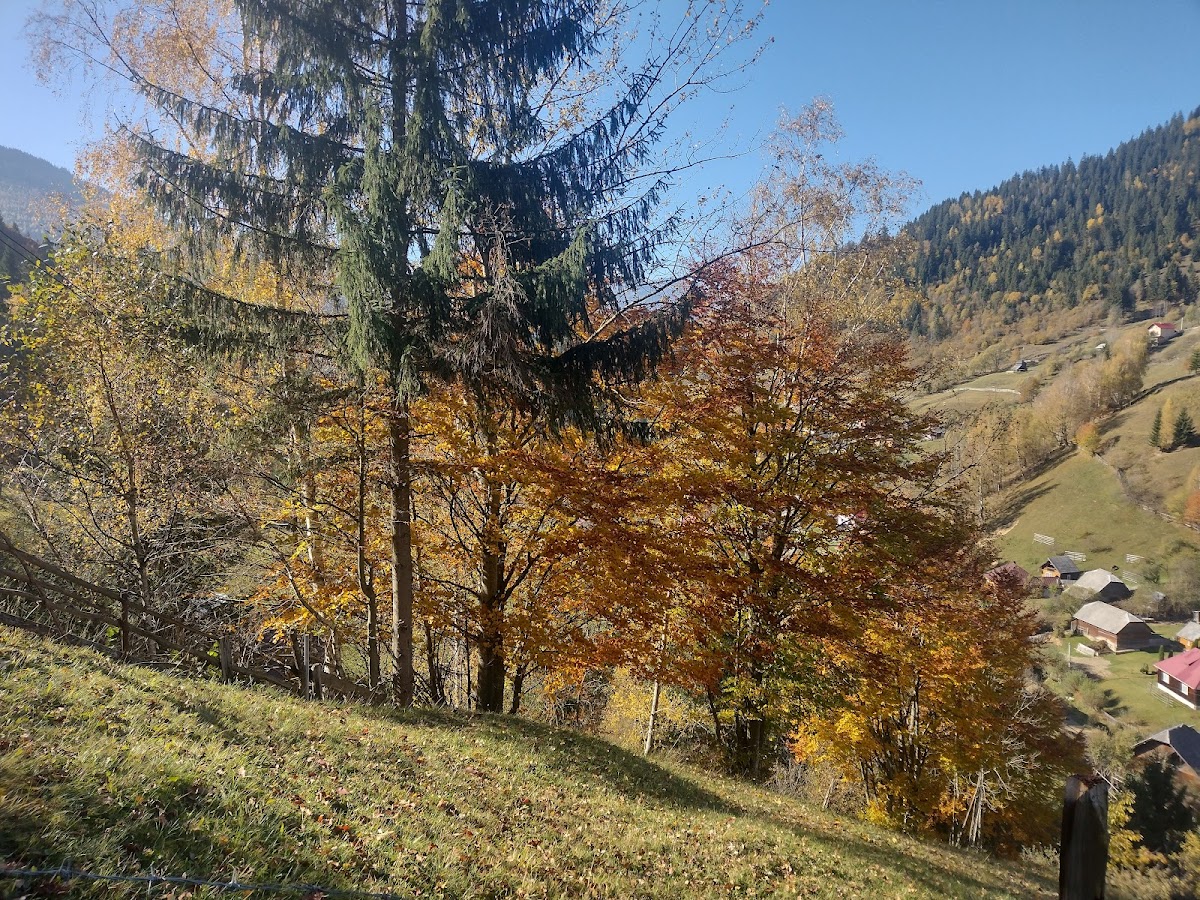 Borsa, Romania - foto 3