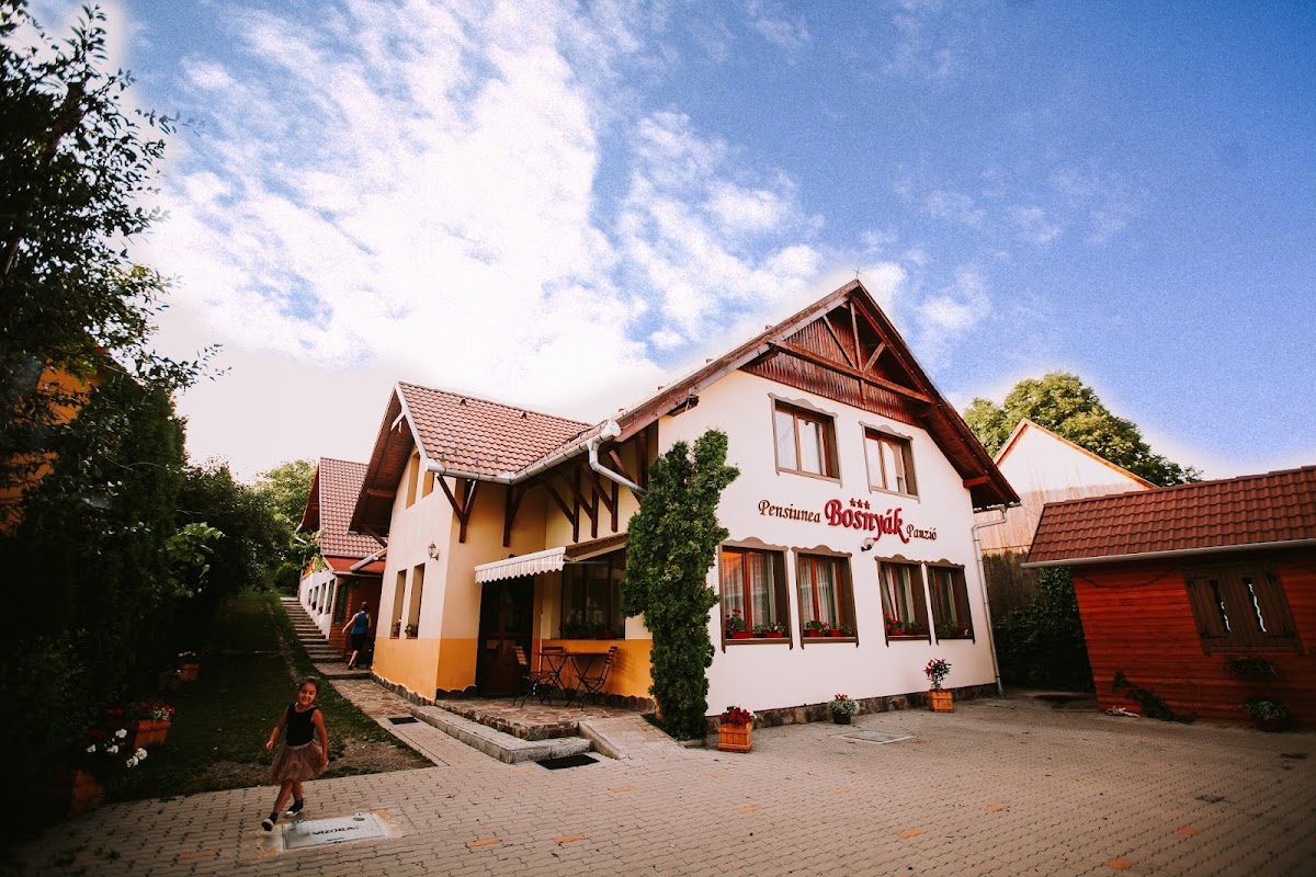 Bosnyak