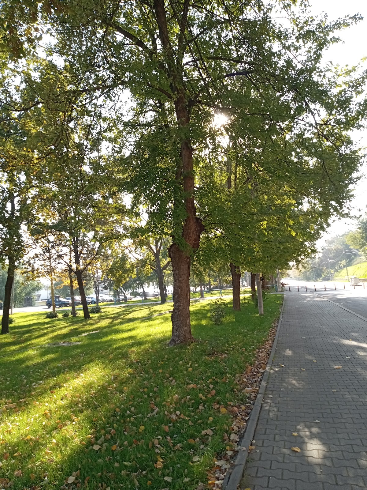 Braila - foto 5
