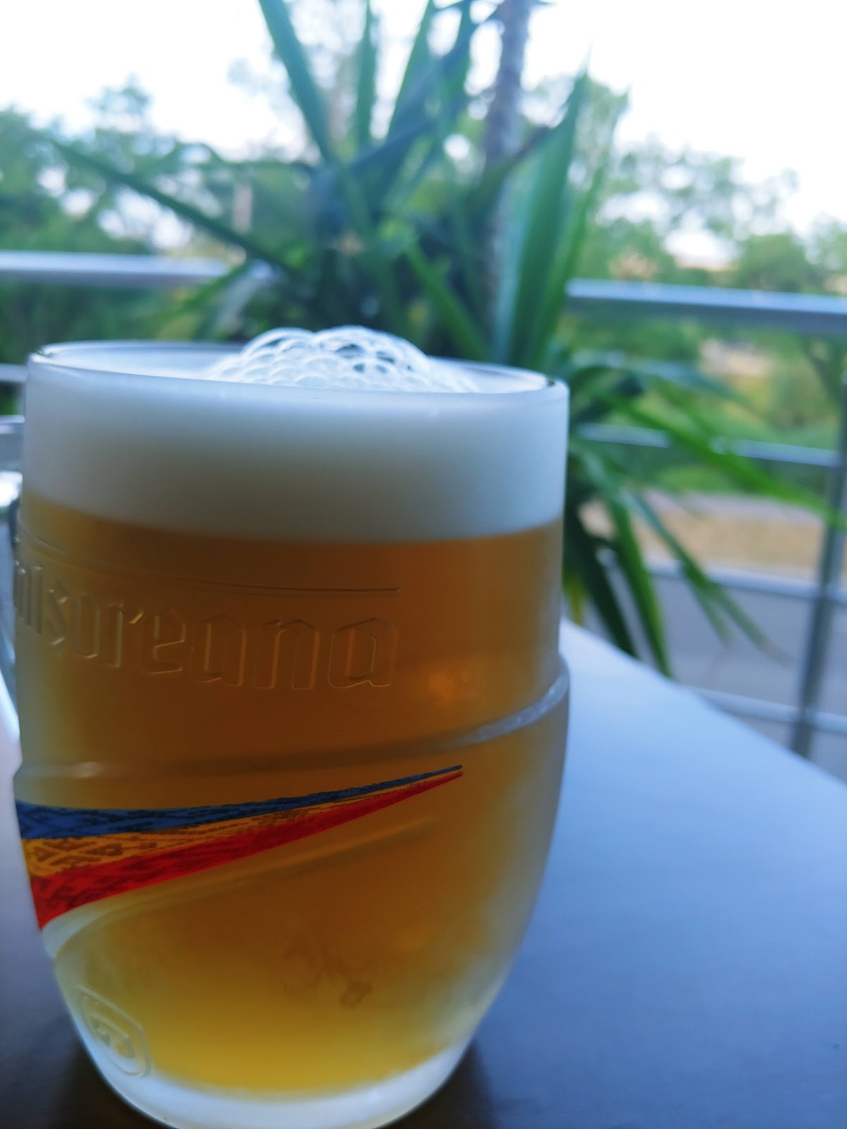 Broasca Verde - foto 4