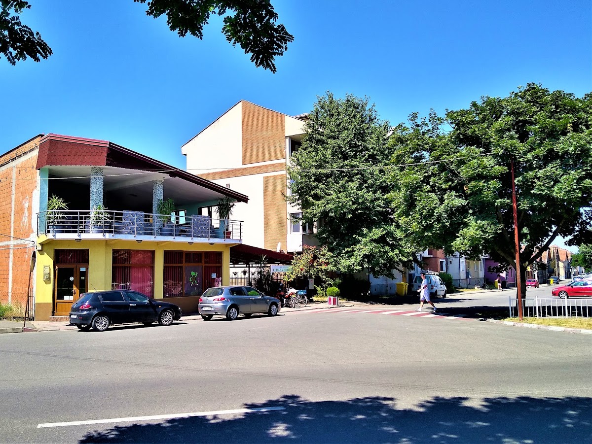 Broasca Verde - foto 5