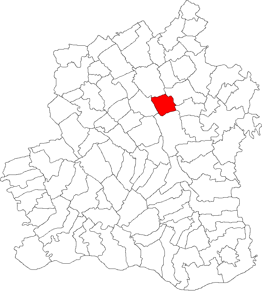 Bucataria locala Olteni