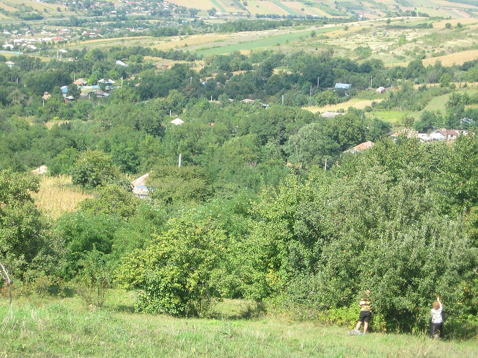 Cuisine locale Pâhna, Pâhna