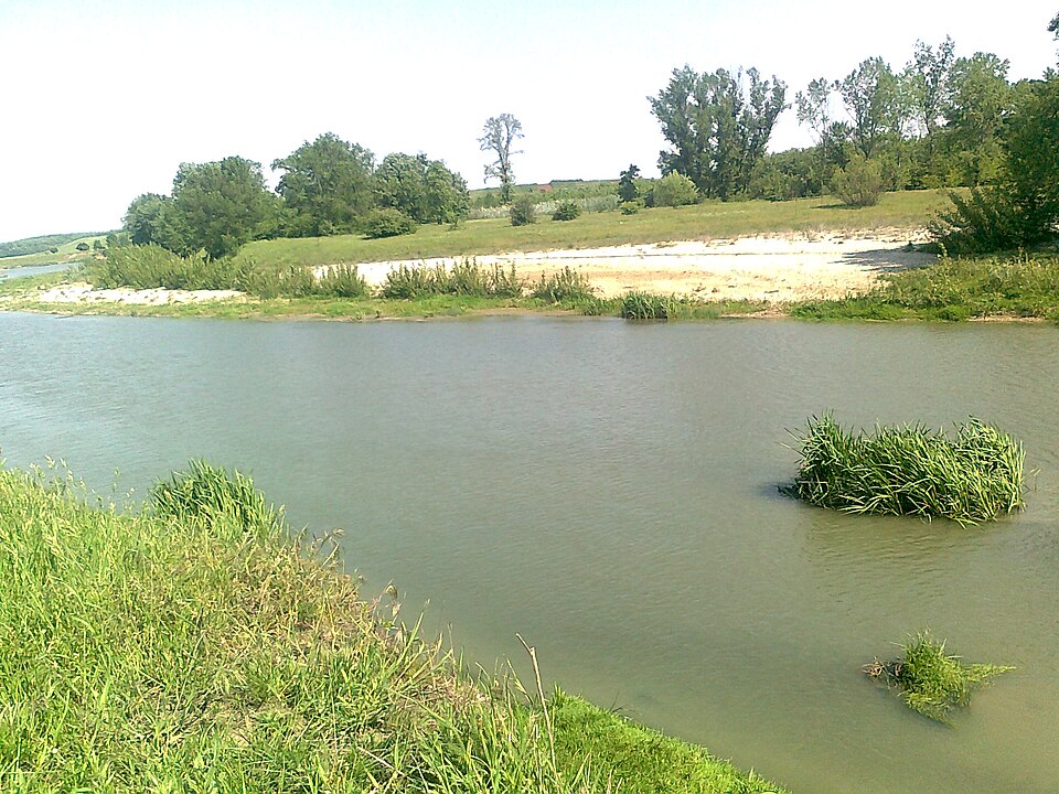 Bucataria locala Vedea, Vedea