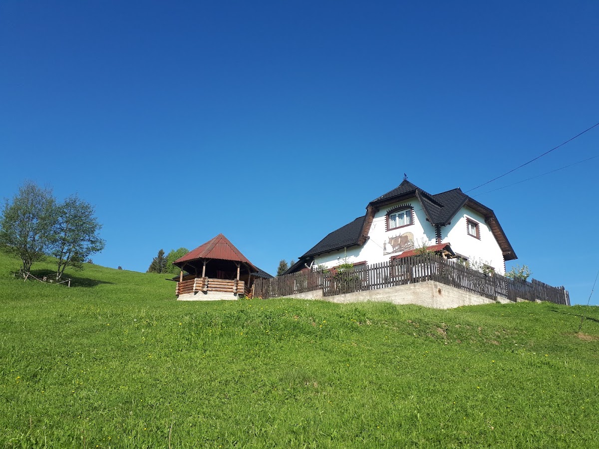 Bucovina Mea