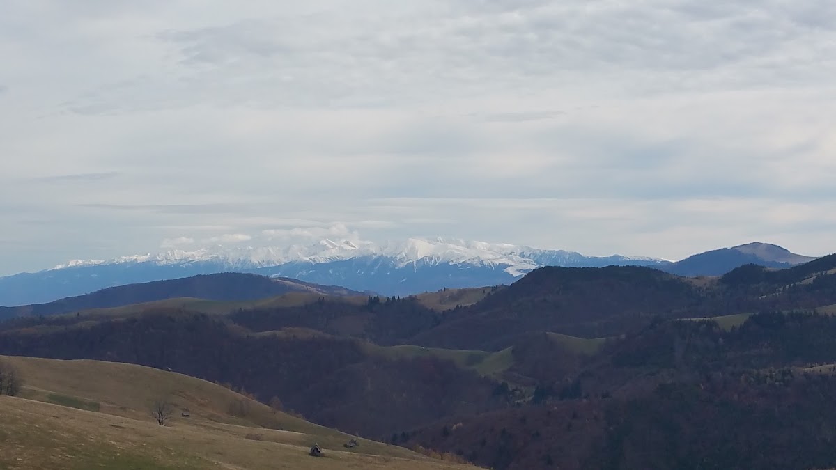 Bucovina Residence B15