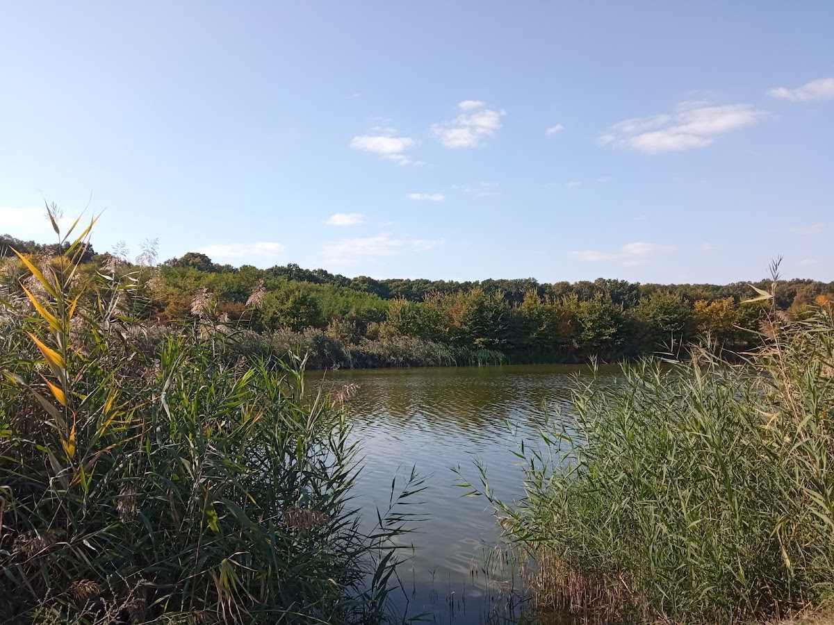 Bujoreni Teleorman, Bujoreni