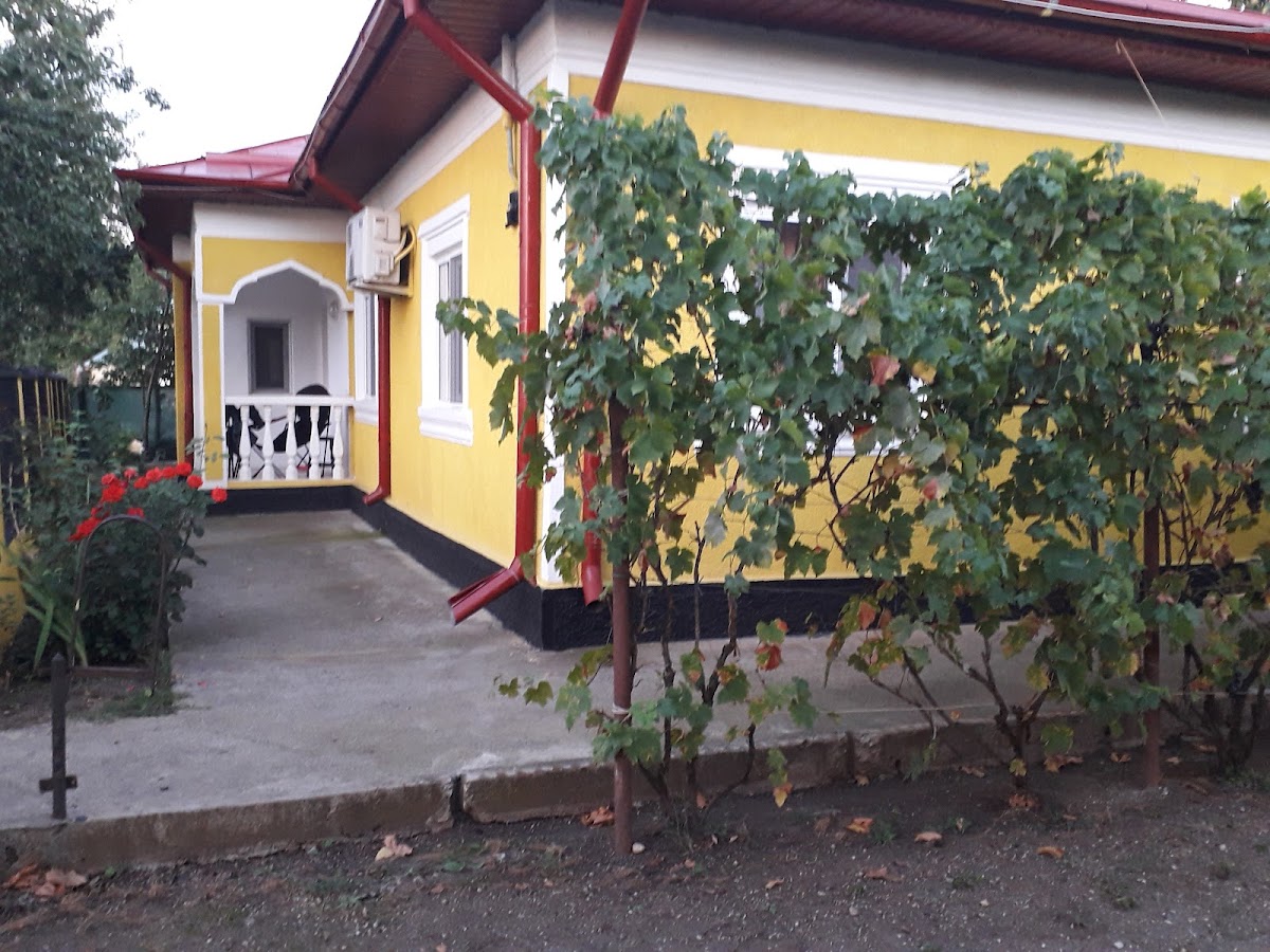 Bujoreni Teleorman - foto 2