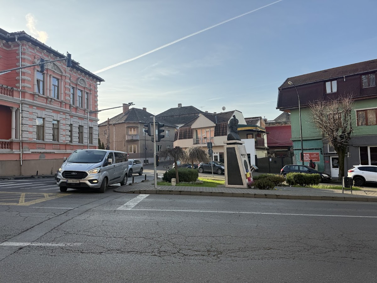 Bustul lui Mihai Viteazul - foto 5