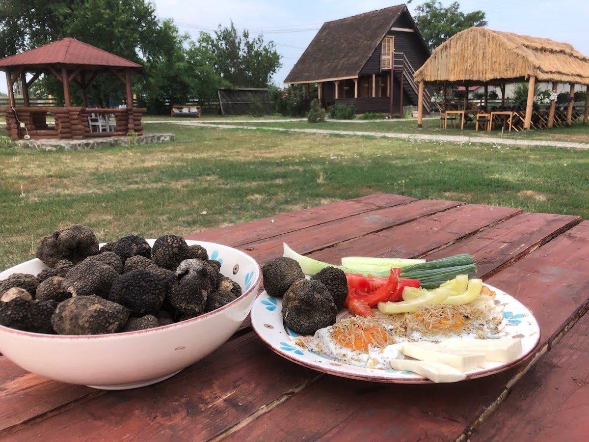 Butoaiele de la Răstoaca