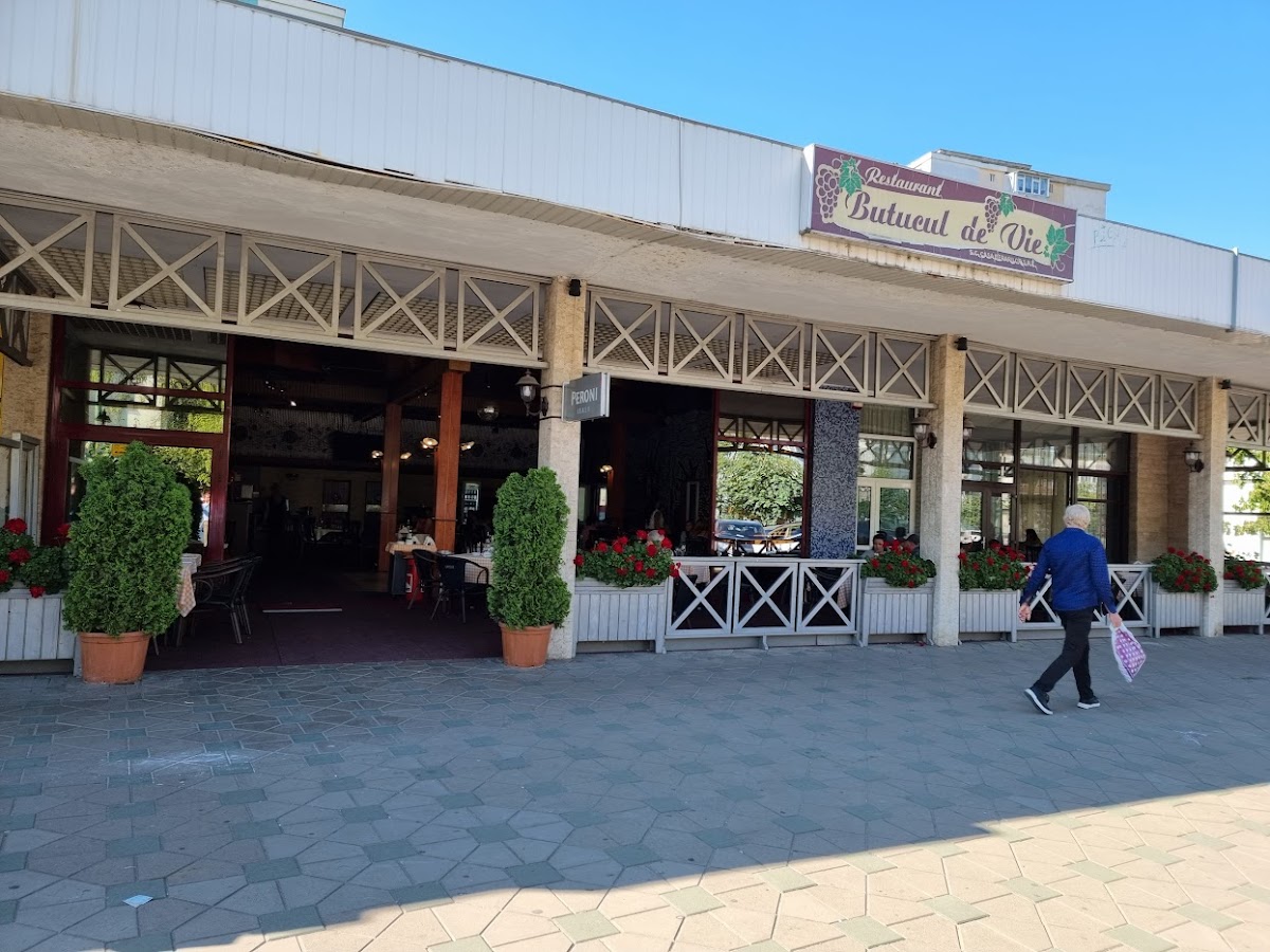 Butucul de vie - foto 1