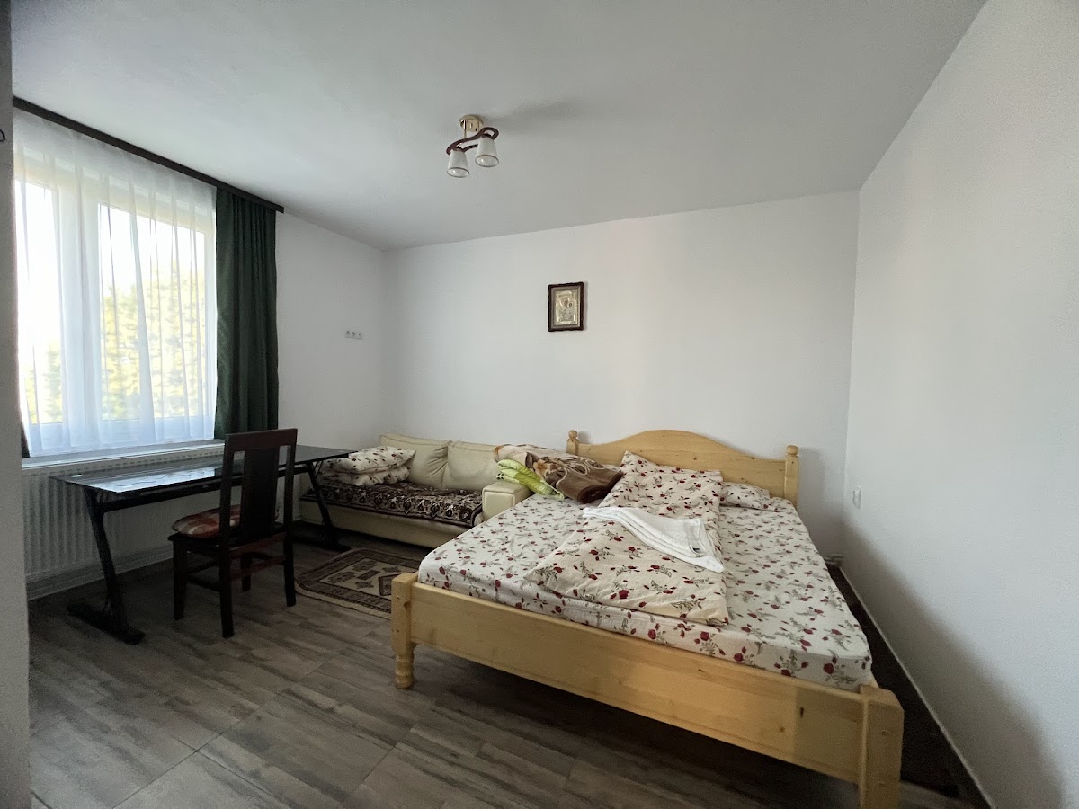 Cabana Alpina Jina - foto 2