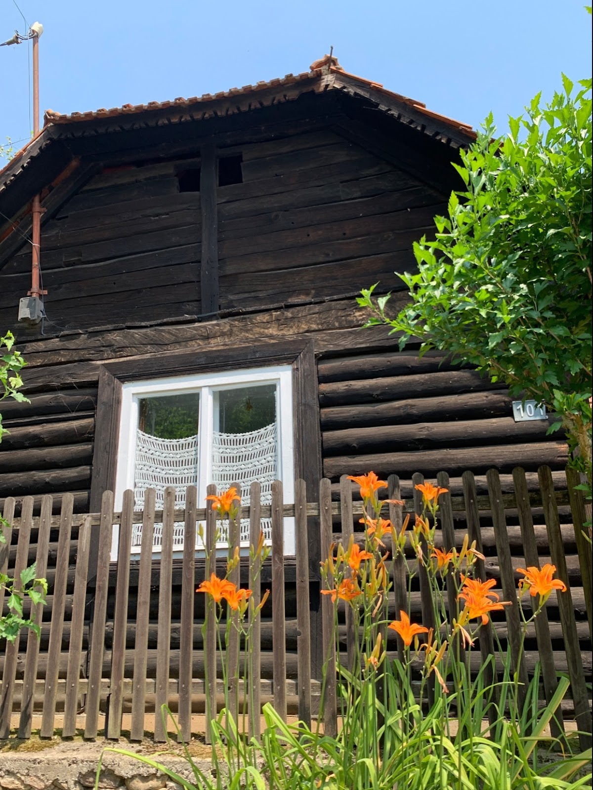 Cabana Bega