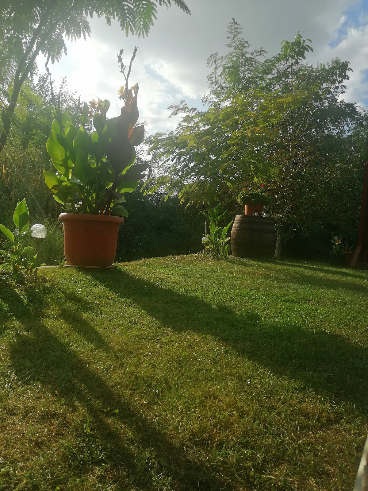 Cabana Beres
