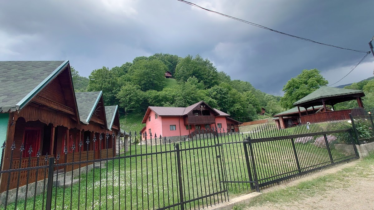 Păltiniş