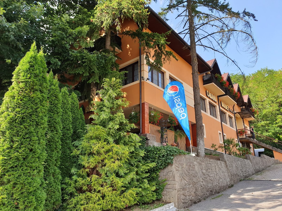 Cabana Brădet - foto 4