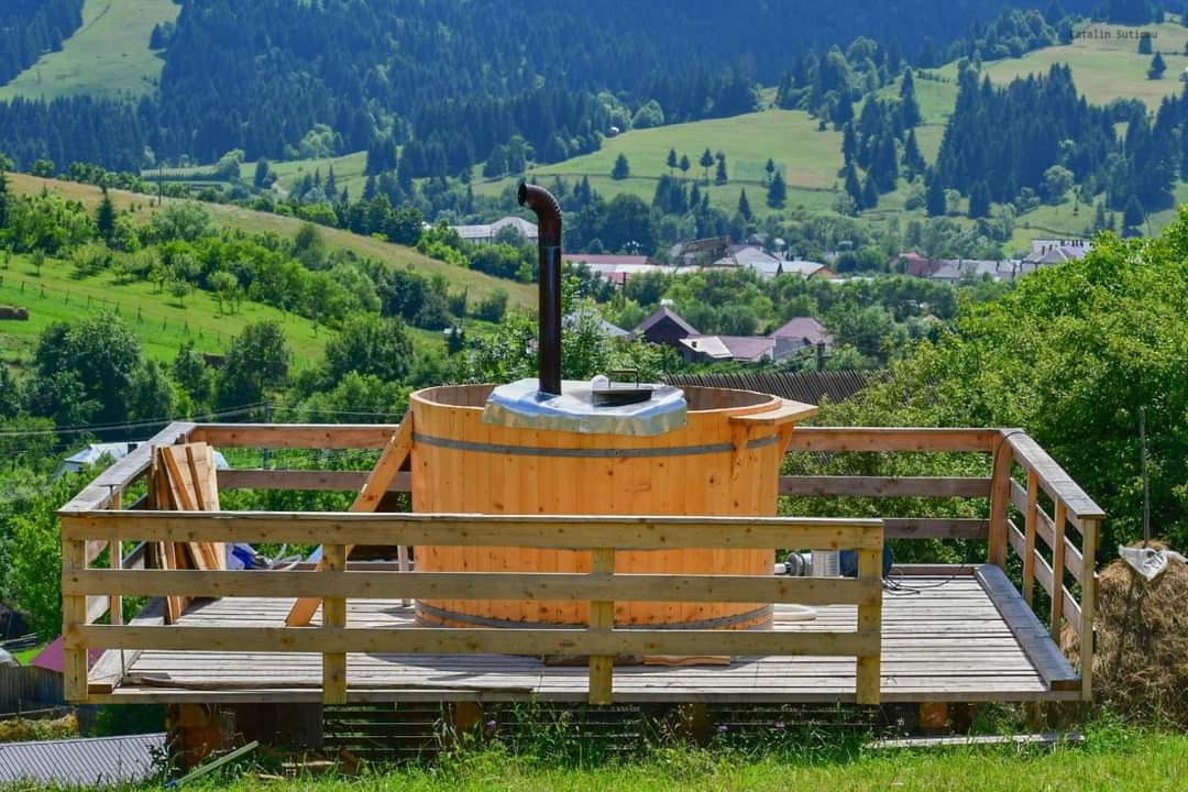 Cabana Codrul
