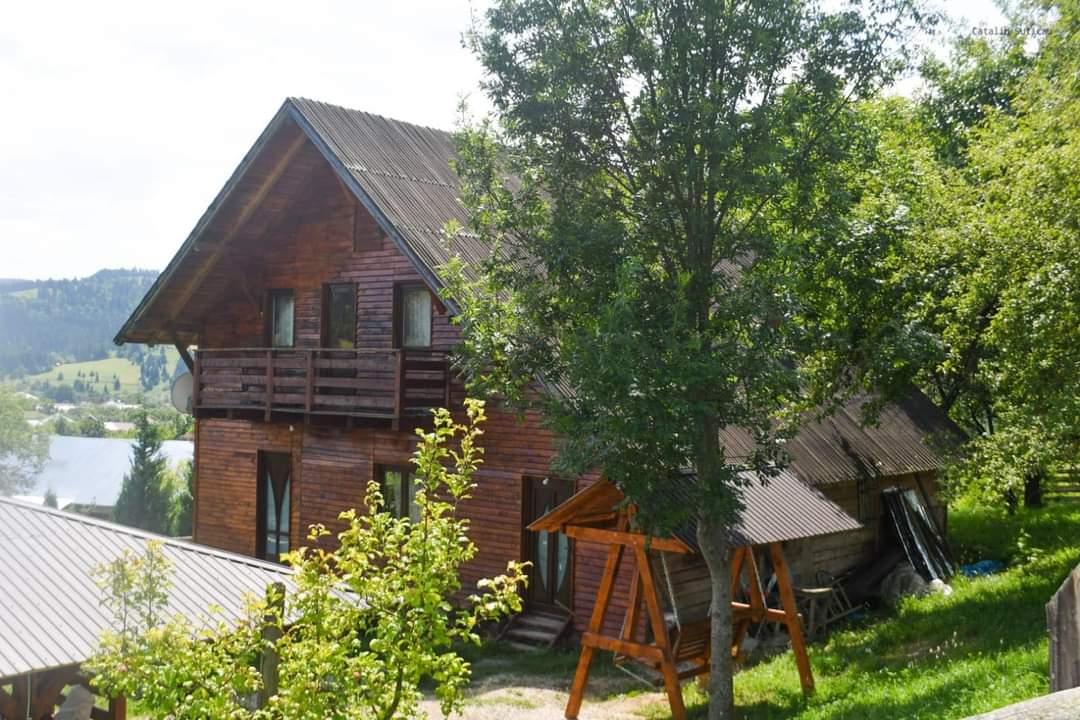 Cabana Codrul