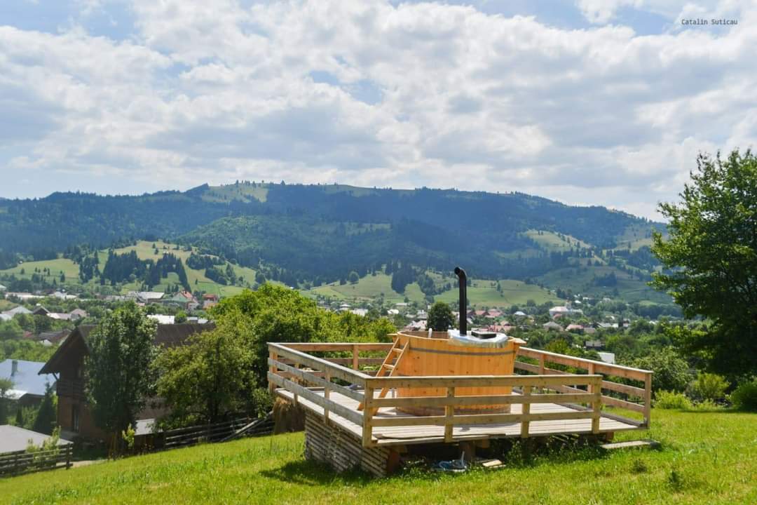 Cabana Codrul