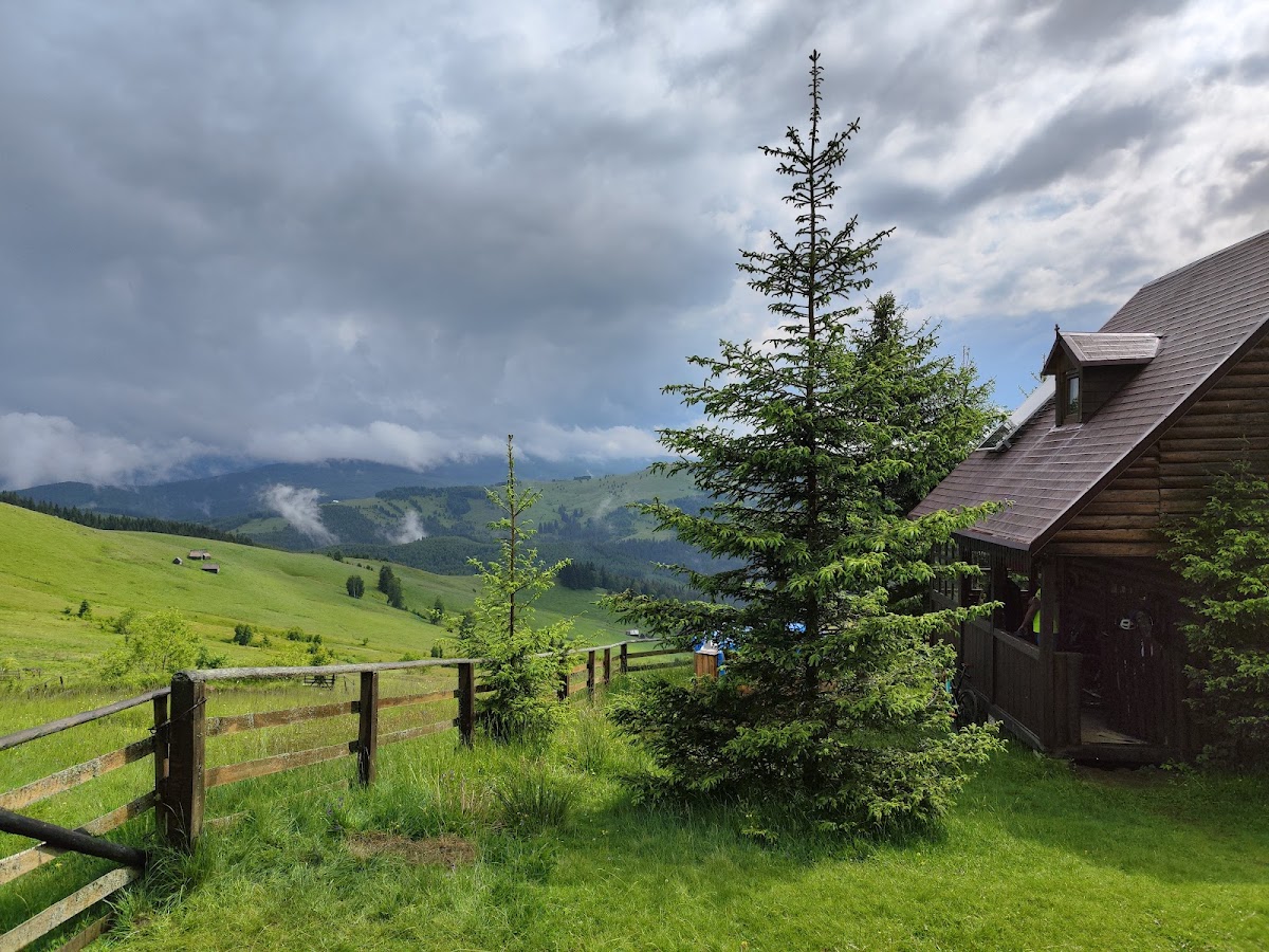 Cabana Crint - foto 1