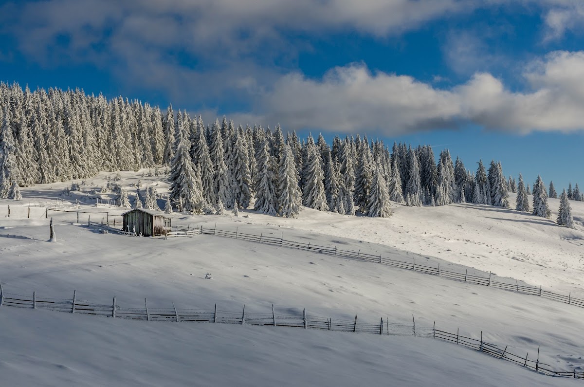 Cabana Crint - foto 2