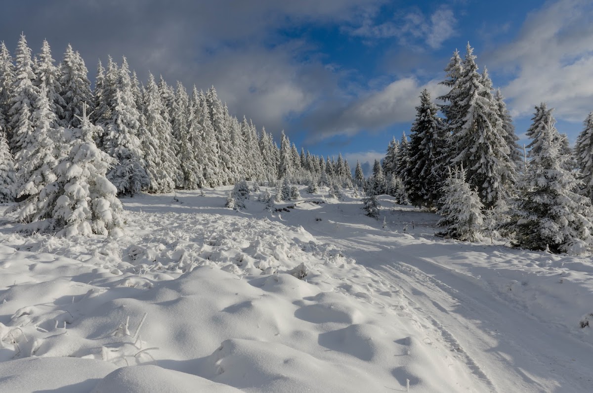 Cabana Crint - foto 4