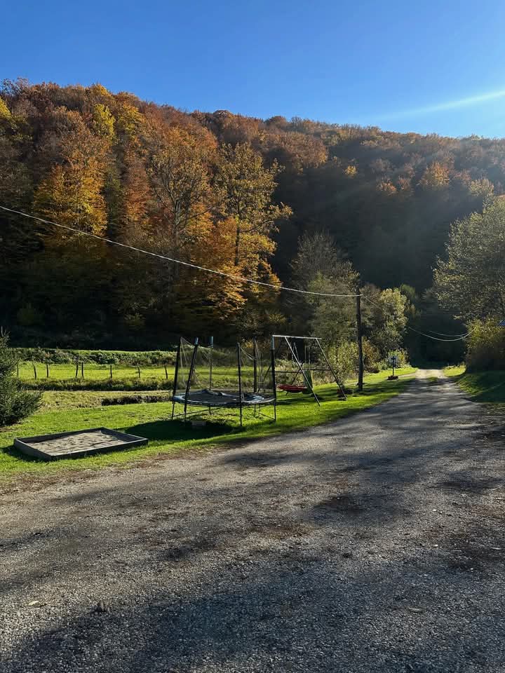 Cabana Daria - foto 5