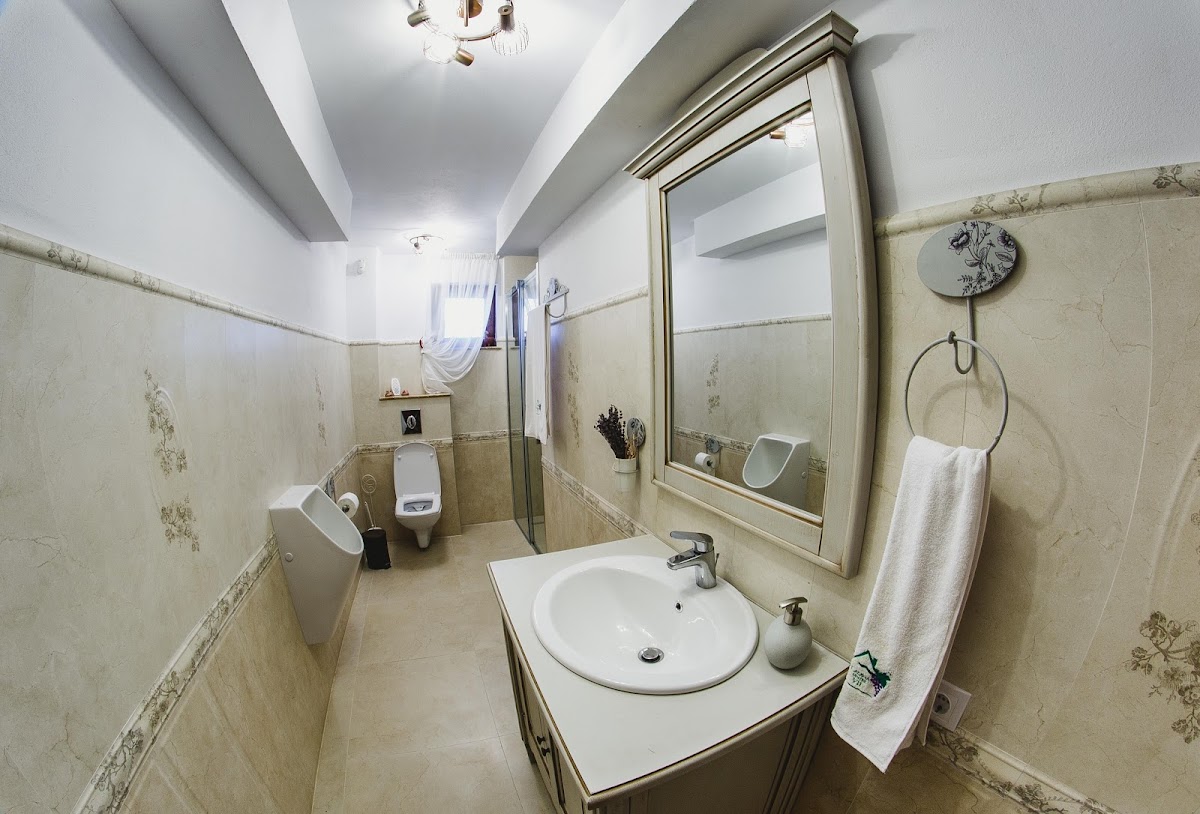 Cabana Dintre Vii - foto 3