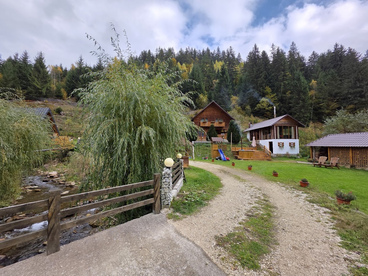 Cabana Ioana - Horea, Horea