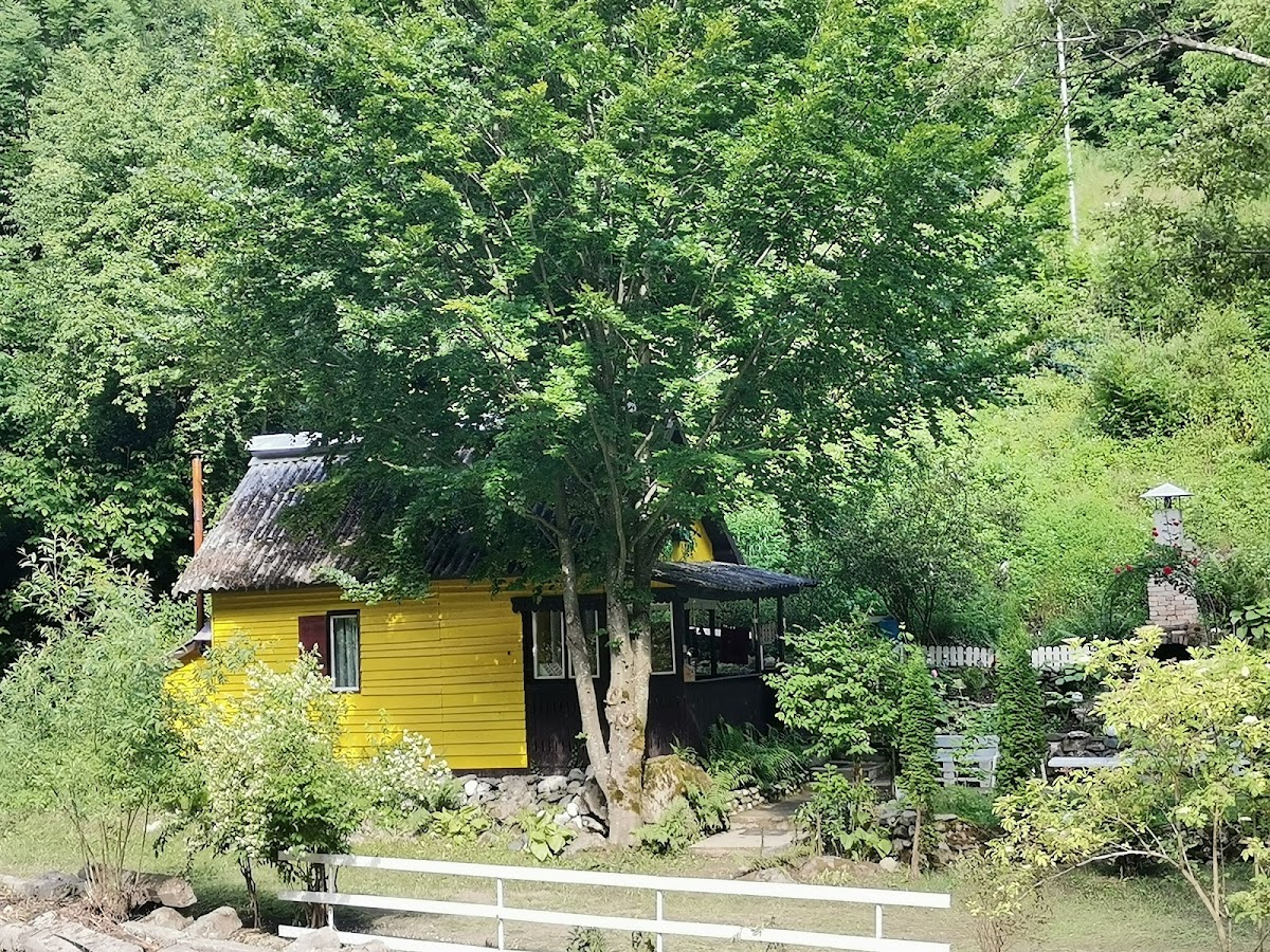 Cabana Iris