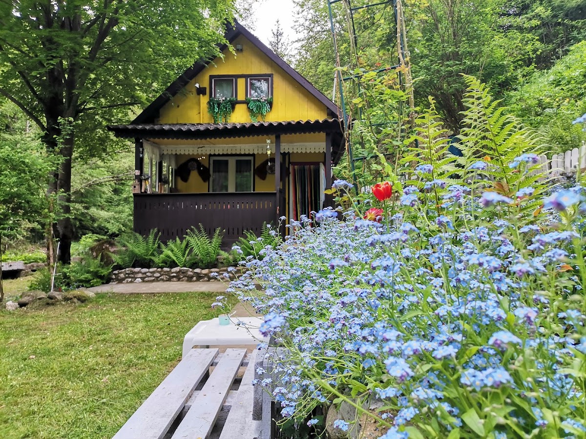 Cabana Iris