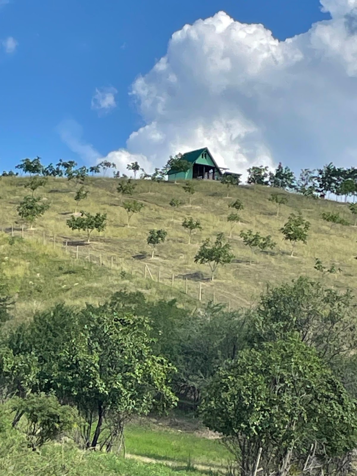 Cabana La Nuci