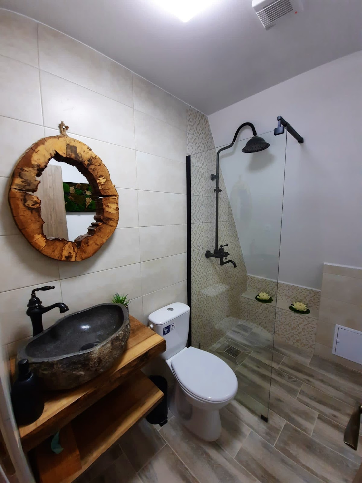 Cabana Loris