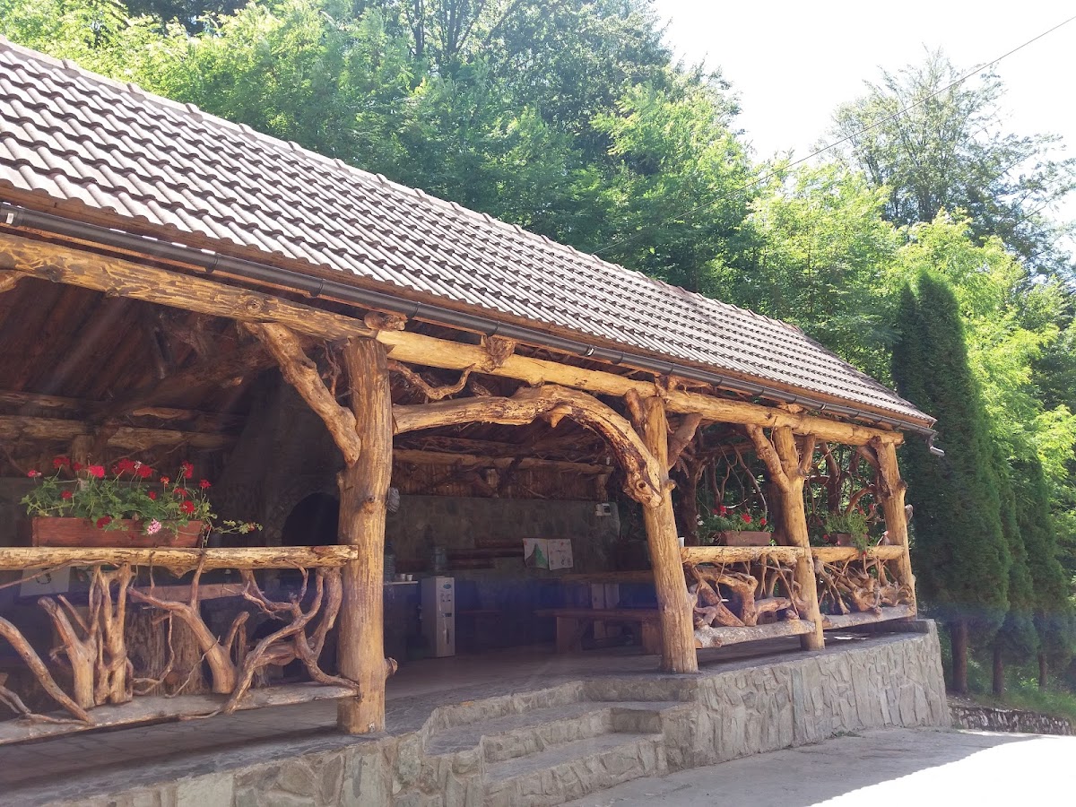 Cabana Lunca Florii (Tabără Adeona) - foto 5