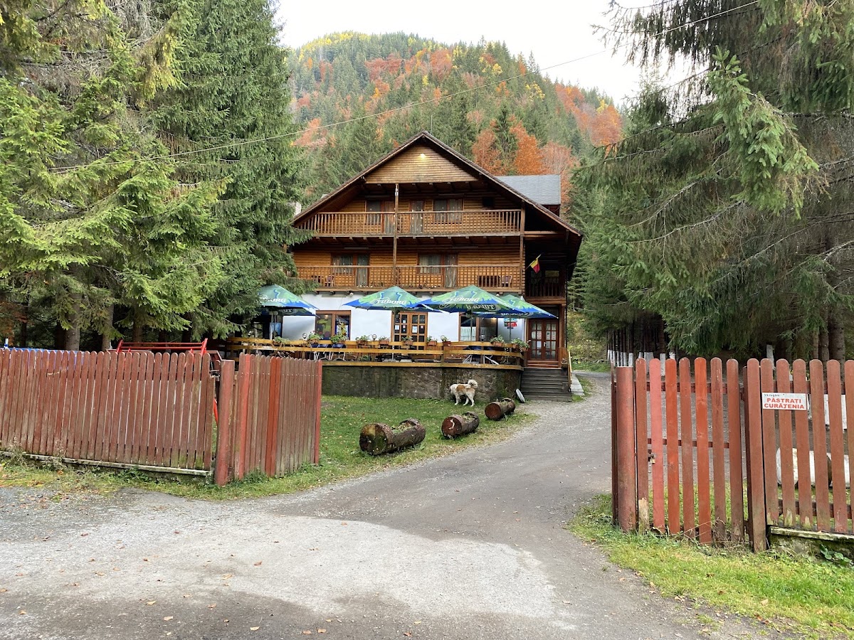 Cabana Mija - foto 1