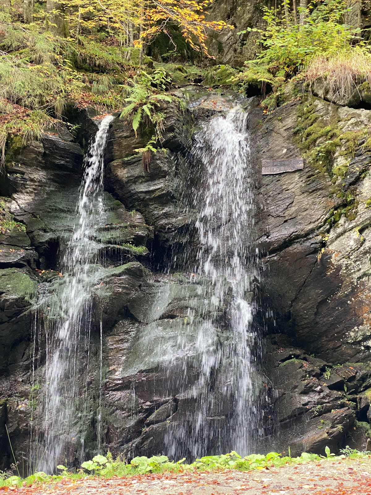 Cabana Mija - foto 5