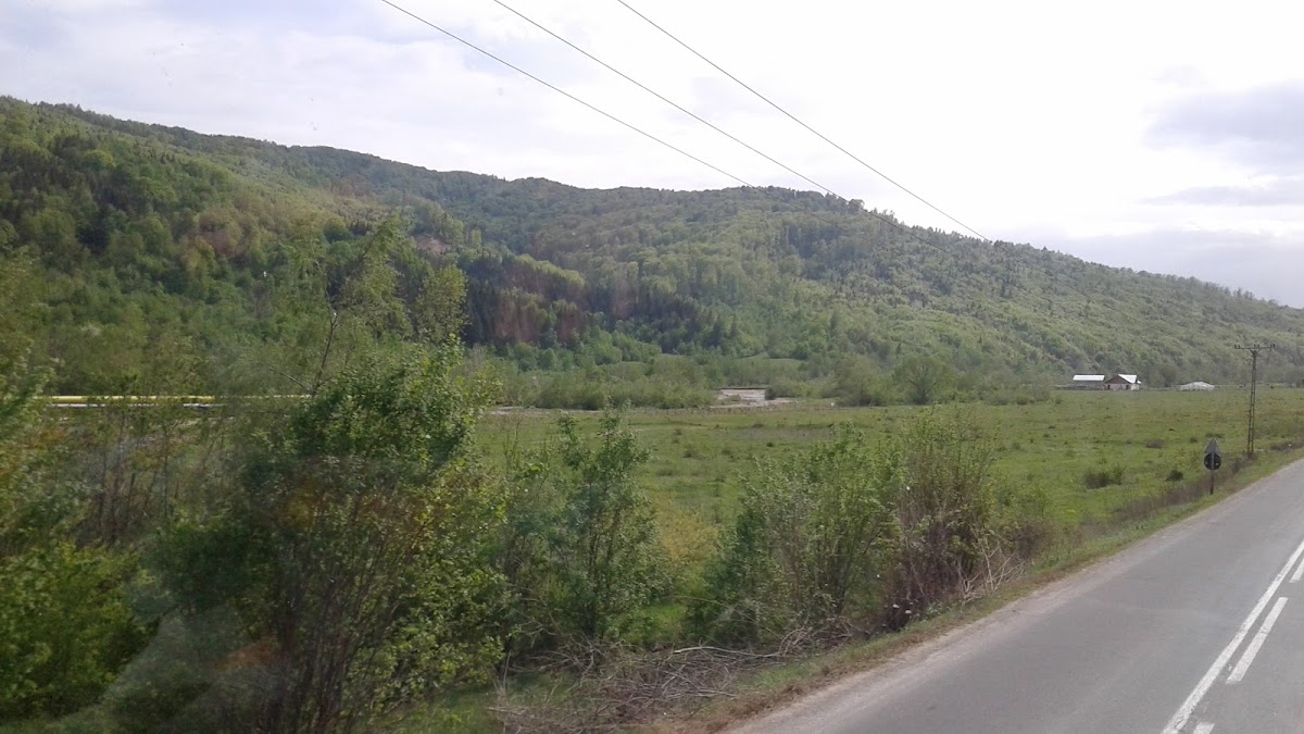 Cabana Mistrețul - foto 4