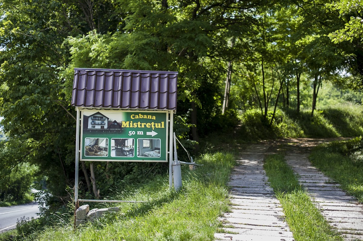 Cabana Mistrețul - foto 5