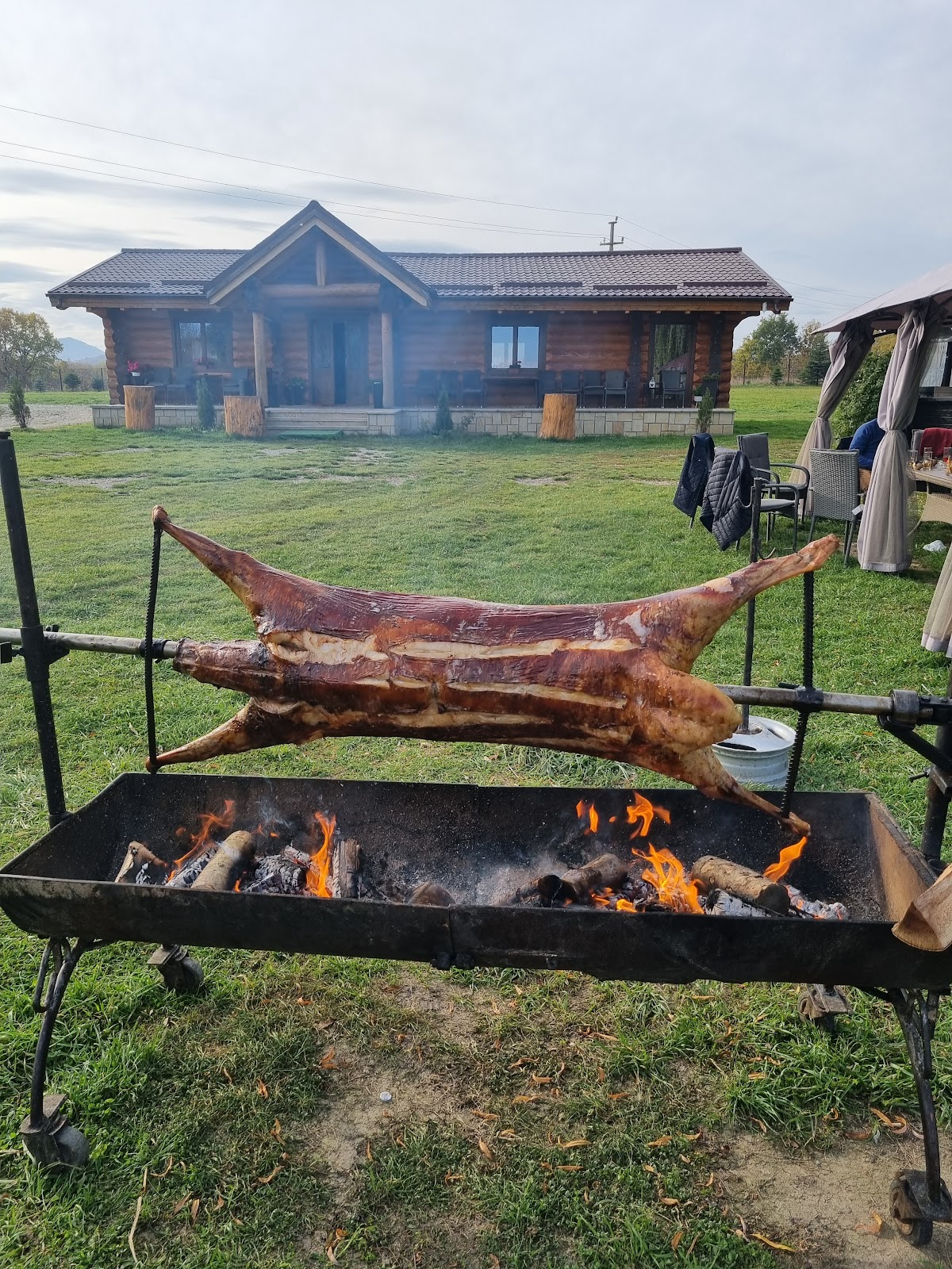 Cabana Nemțișor
