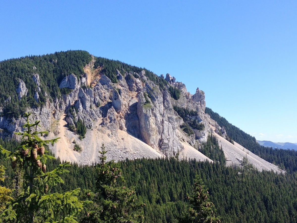 Cabana Piatra Singuratică - foto 4