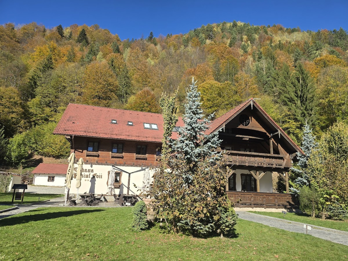 Cabana Plaiul Foii - foto 1