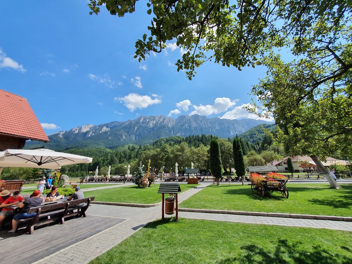 Cabana Plaiul Foii - foto 5