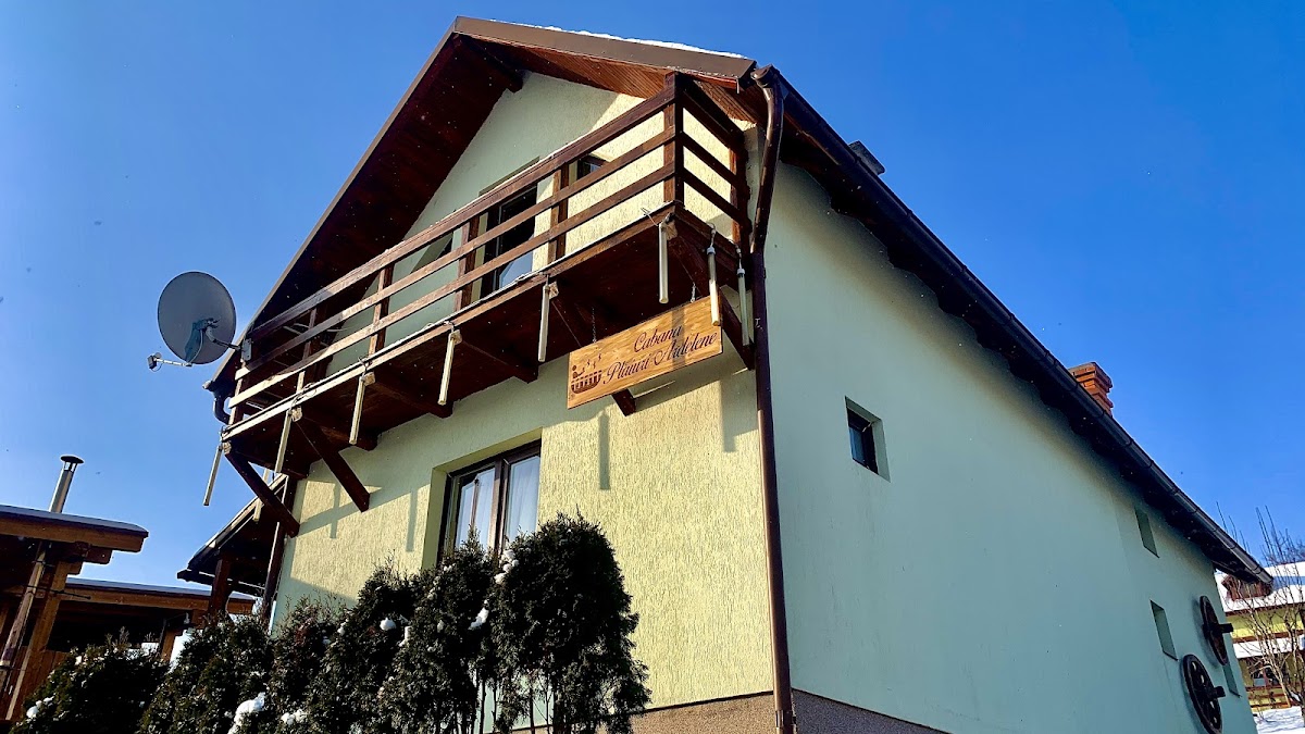 Cabana Plaiuri Ardelene