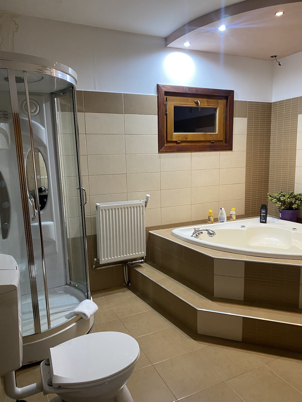 Cabana Poarta Mărginimii - foto 4